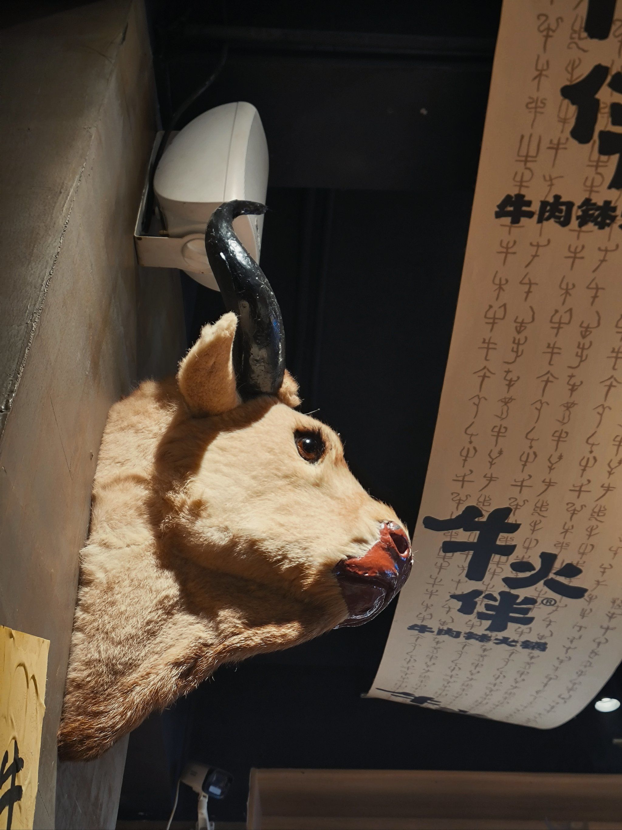 牛牛一牛牛
