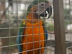 -南宫五洲植物乐园