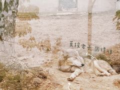 -泉州海丝野生动物世界