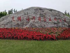 -上海海湾国家森林公园