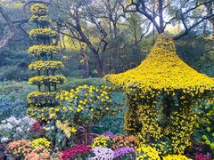 -杭州植物园