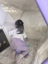 -童梦园主题乐园(天津泉汇购物广场店)