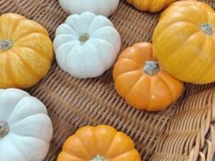 -麦盛莉大酒店·宴会厅(崇明南门如庭酒店)