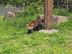 -宁波野生动物园