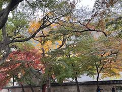 -青岛崂山太清宫