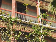 -南通博物苑-崇川人民公园