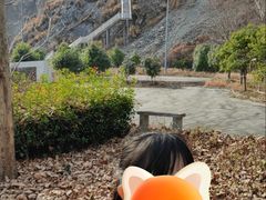 -金钉子远古世界景区