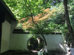 -杭州黄龙洞