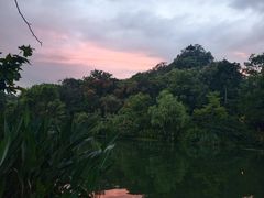 -花溪公园