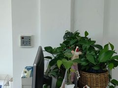 -微笑时刻照相馆·企业合影·商务外拍(北京五道口店)