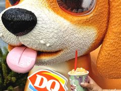 -DQ·蛋糕·冰淇淋(五角场万达店)