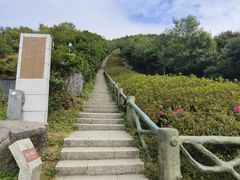 -梧桐山风景名胜区