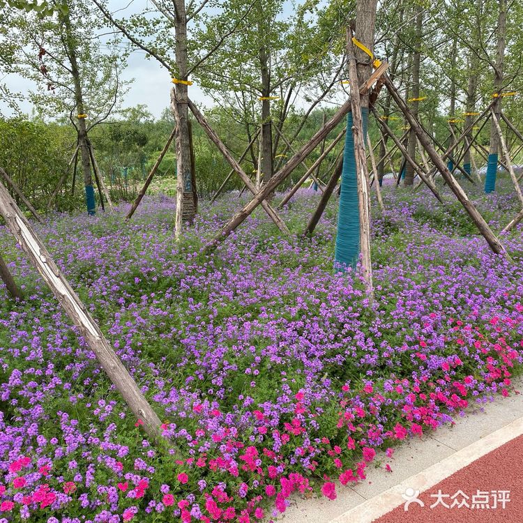 沣河梁家滩湿地公园