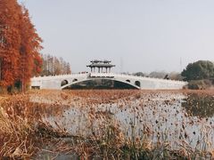 -东湖落雁景区
