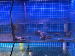 -面道赞宁海海鲜面(迎凤街店)