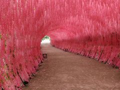 -玻璃桥景区石牛寨