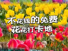 -徐家汇公园