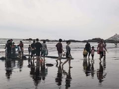 -浪琴湾度假村