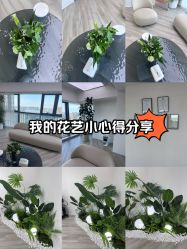 -HEYAN荷妍专业脱毛连锁机构