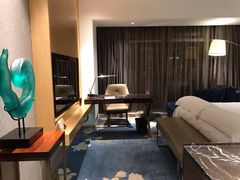 -广州白云机场雅高铂尔曼大酒店