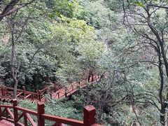-大岭沟猕猴桃谷风景区