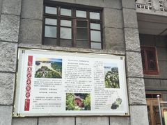 -乐山大佛风景名胜区乌尤寺南门-售票点