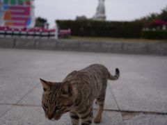 -青澳湾北回归线广场