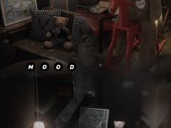 -咖法森林·咖啡  酒吧(天河店)