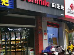 -向阳坊(树兜店)