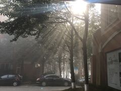 -铁山坪森林公园