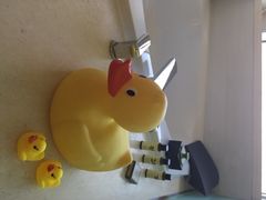 英迪格酒店-厦门海港英迪格酒店(中山路店)