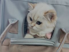 -中农大我爱我爱动物医院·核磁CT·猫病·24小时夜诊中心(石佛营店)