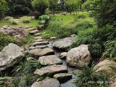 -雁南飞茶田景区