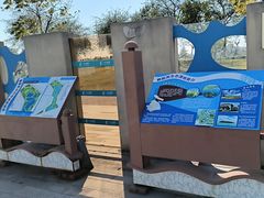 -鹦鹉洲湿地公园