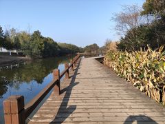 -艾溪湖湿地公园