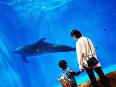 -华夏文旅海洋公园