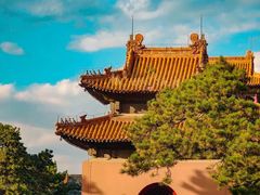 -北陵公园