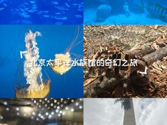 -太平洋海底世界