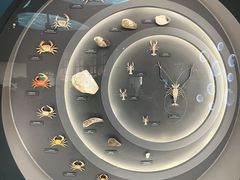 -中国湿地博物馆