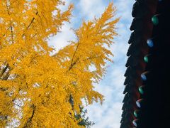 -万寿八仙宫