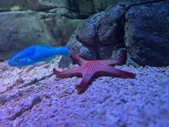 -欢乐海岸海洋奇梦馆