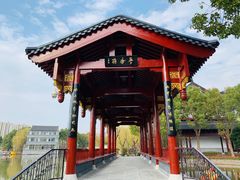 -南汇桃花村