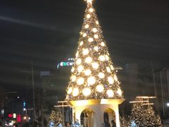 -新世界百货(明洞总店)