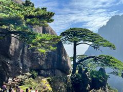 -黄山风景区