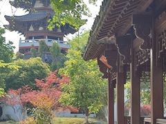 -武汉园博园(武汉自然博物馆)