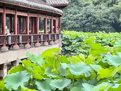 -龙头寺公园