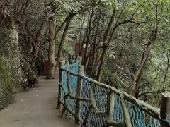 -丹山赤水风景名胜区