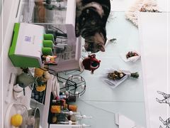 -平行世界·猫咖(首经贸店)