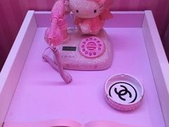 -天鹅恋