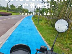 -九龙湖公园